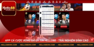 App cá cược bóng đá