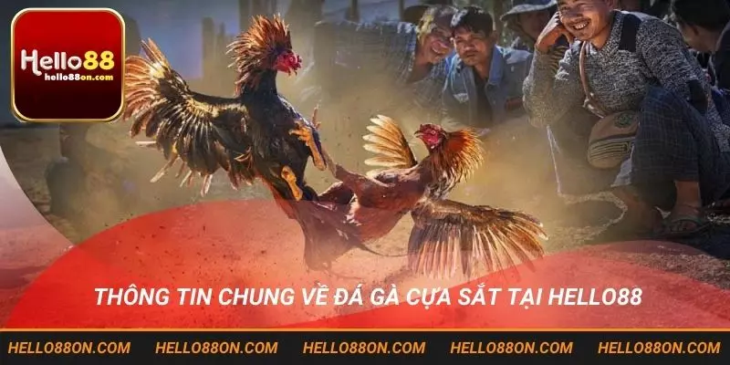 Đá Gà Cựa Sắt Hello88 - Bí Quyết Chọn Gà Chiến Mạnh Năm 2025